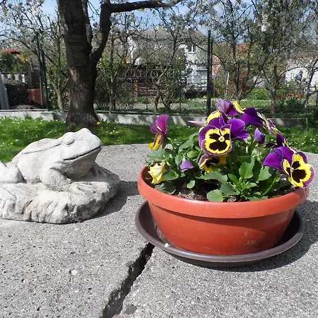 Kapitan Jindřichŭv Hradec